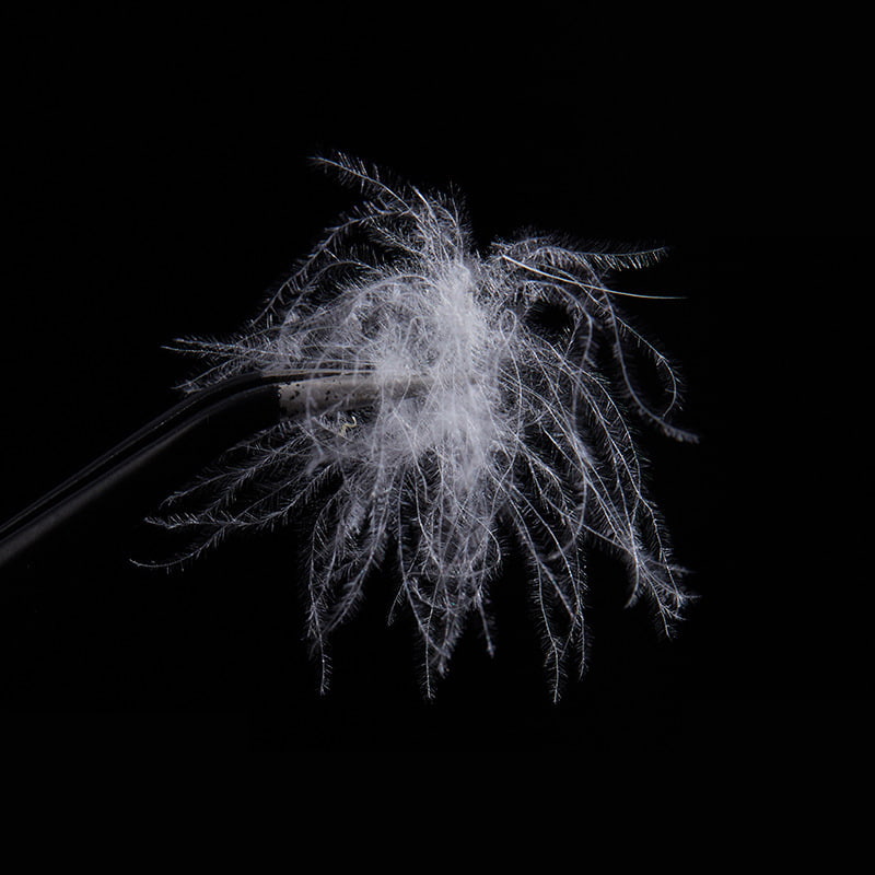 اردک سفید خالص 50٪