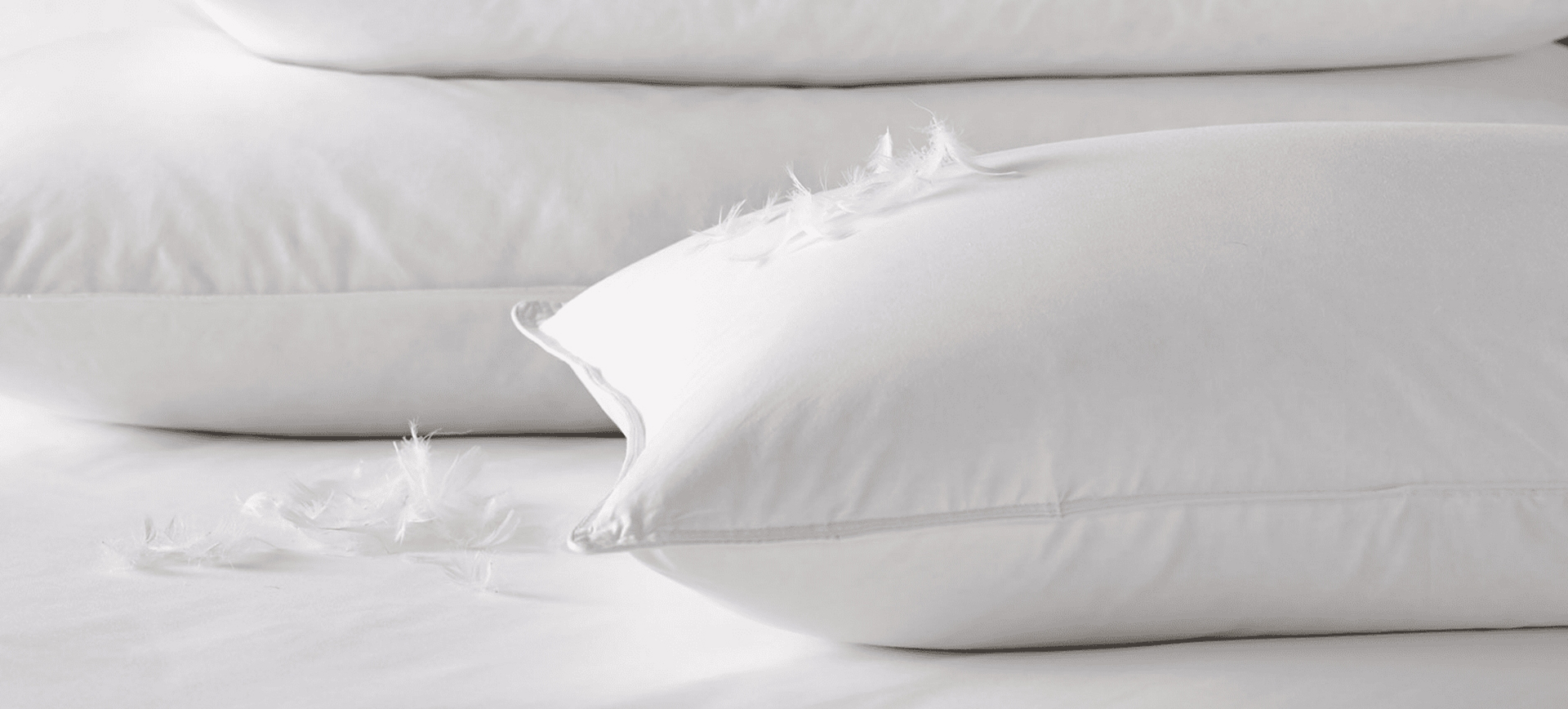 شرکت محصولات ژجیانگ شنجی داون، با مسئولیت محدود.