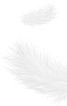 شرکت محصولات ژجیانگ شنجی داون، با مسئولیت محدود.