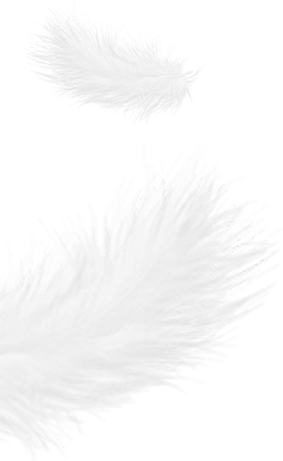 شرکت محصولات ژجیانگ شنجی داون، با مسئولیت محدود.