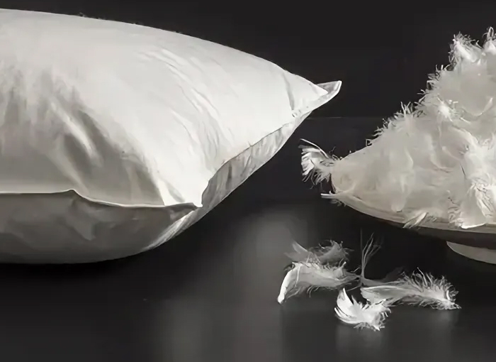 شرکت محصولات ژجیانگ شنجی داون، با مسئولیت محدود.