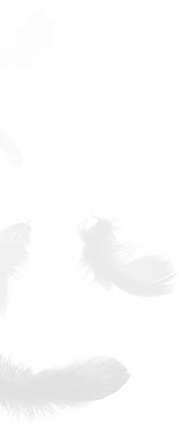 شرکت محصولات ژجیانگ شنجی داون، با مسئولیت محدود.